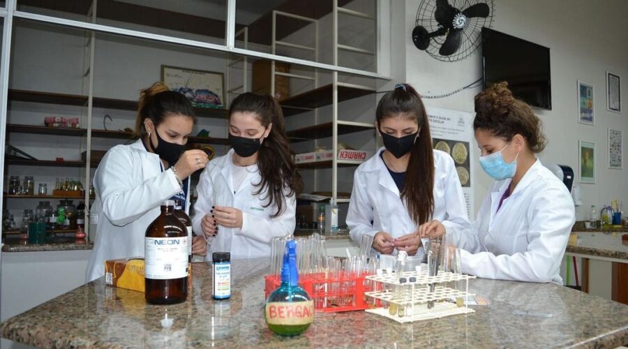 Escola de Santa Maria produziu inseticida a base de bergamota eficaz contra o mosquito da dengue