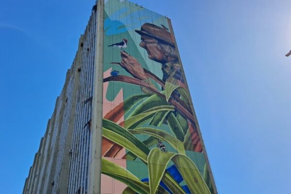 Mural de 50 metros, em homenagem a José Lutzenberger, é inaugurado em Porto Alegre