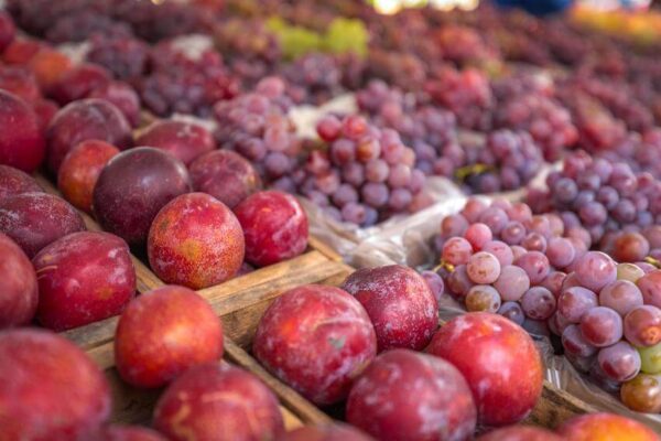 Festa da Uva e Ameixa soma 46 toneladas de frutas vendidas em Porto Alegre