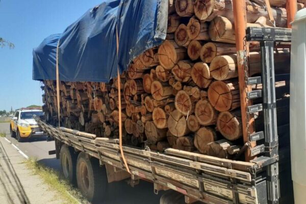 Caminhoneiro que transportava madeira de forma irregular é preso por embriaguez em Santa Maria