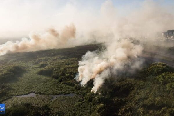 Incêndio na margem na BR-392 deixa Pelotas sob fumaça