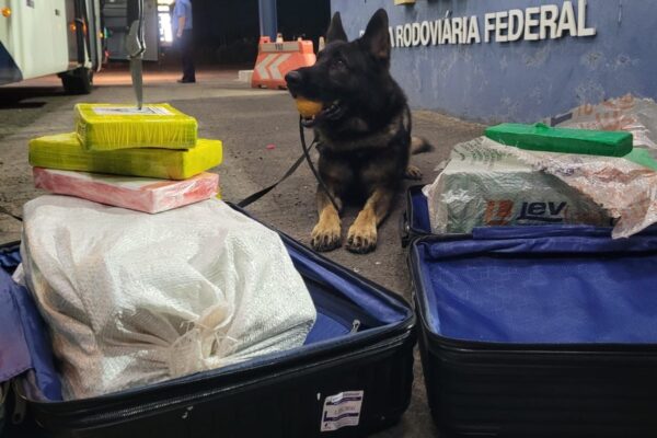 Cão farejador encontra R$ 1 milhão em drogas em bagagem de passageira em Eldorado do Sul