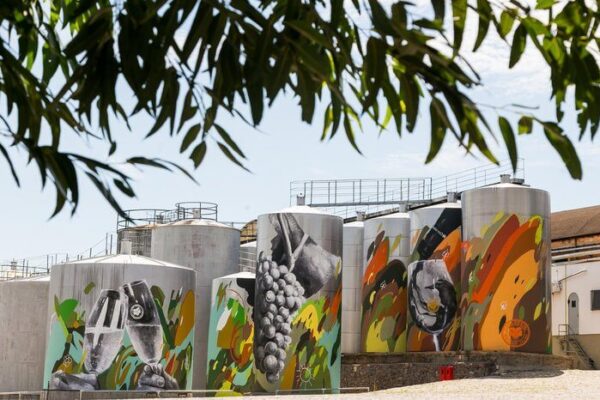 Vinícola Casa Perini expõe arte urbana em tanques  de vinho na Serra