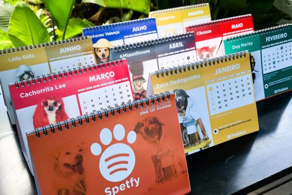Com Dog Marley e Zeca Padoguinho, calendário transforma pets de ONG em músicos famosos