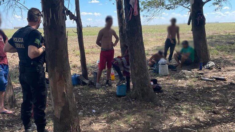 Homens foram resgatados em condições análogas à escravidão em Uruguaiana, em lavouras de arroz. 11 eram adolescentes de 14 a 17 anos