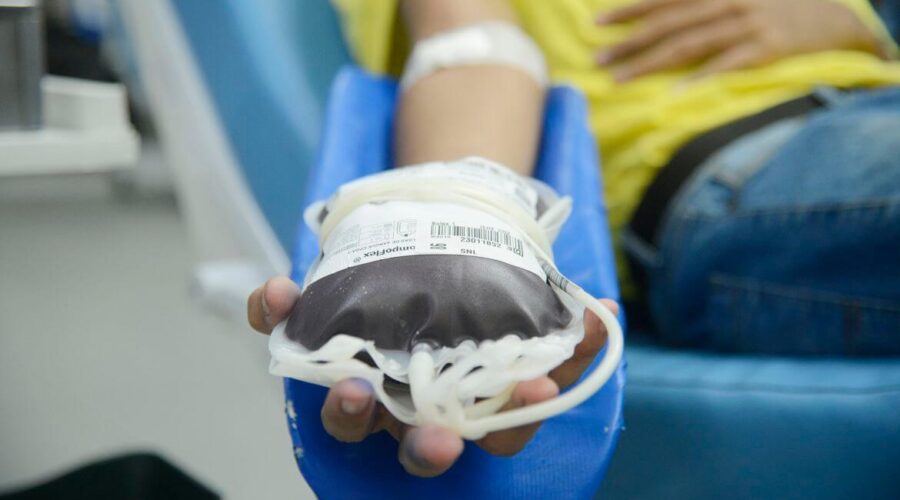Porto Alegre: hemocentro e hospitais pedem doações de sangue; veja locais e critérios para doar