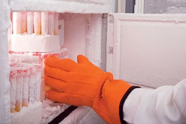 Zelador desliga freezer e universidade dos EUA perde 20 anos de pesquisas