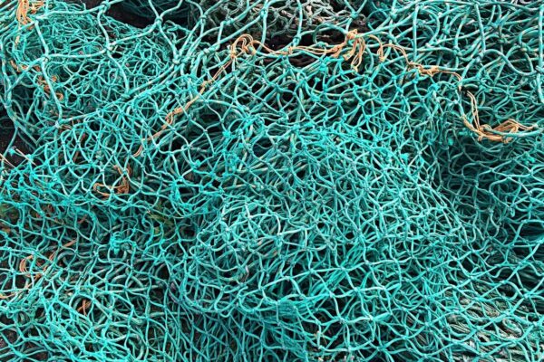 STF decide pela proibição da pesca de arrasto no litoral gaúcho