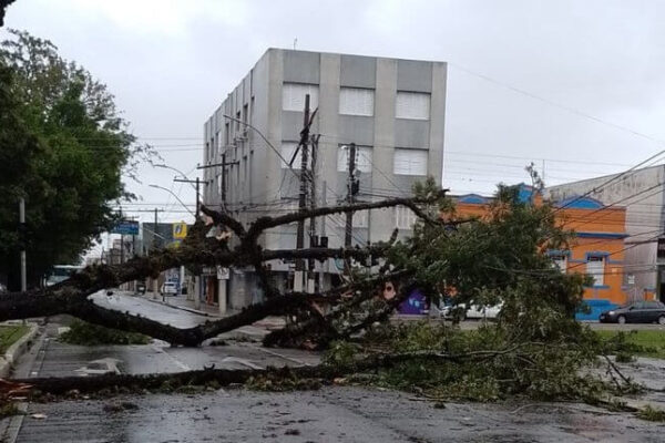 Falta de energia e com abastecimento de água “à beira do colapso”, prefeita de Pelotas fala sobre a situação da cidade após ciclone