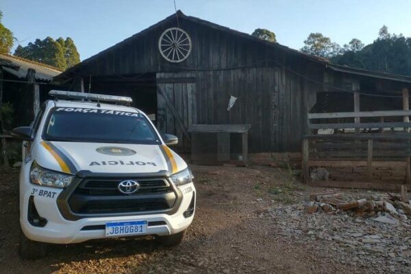 Homem é preso por manter javalis em cativeiro na Serra