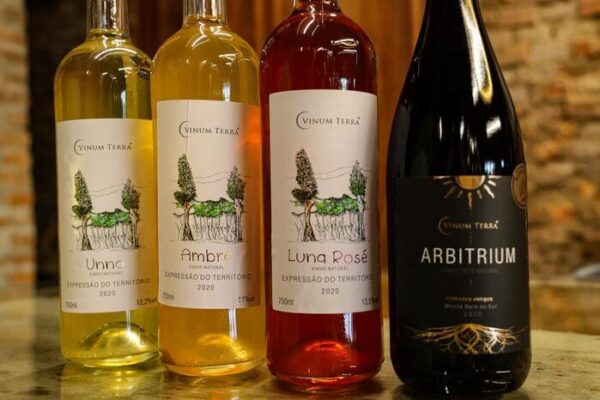 Vinícola da Serra recebe inédita certificação orgânica e biodinâmica em produção de vinhos