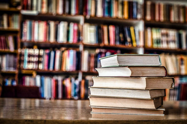 Governo de Santa Catarina divulga lista de livros banidos nas escolas do estado