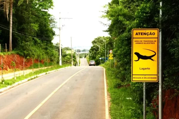 Gravataí implementa sinalização de trânsito que indica presença de animais silvestres