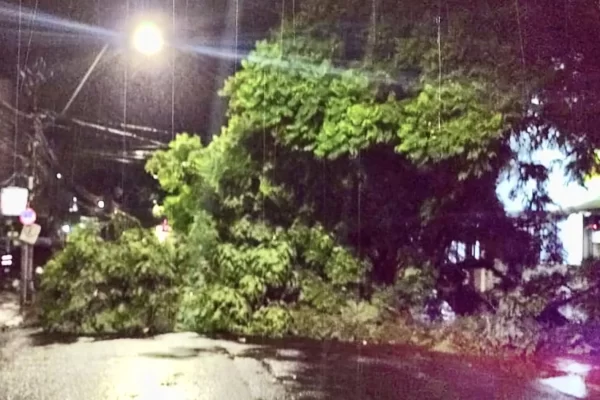 Porto Alegre registra temporal destrutivo na noite de terça-feira