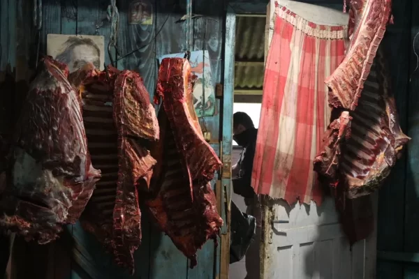 Seis pessoas são condenadas em Caxias do Sul por venda ilegal de carne de cavalo