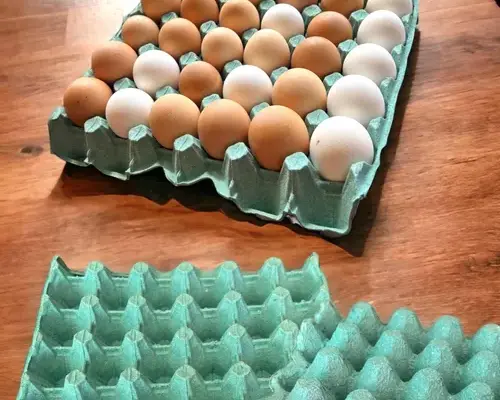 Preço do ovo aumentará em 12% devido à tributação