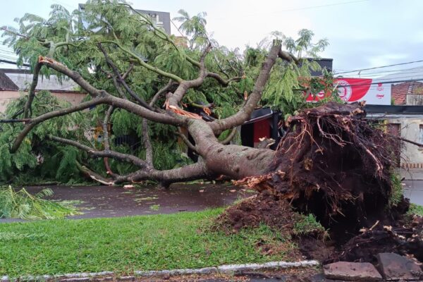 Sobe para 130 o número de municípios gaúchos que registraram estragos por conta do temporal