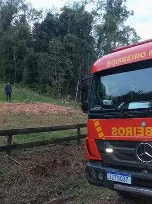 Ataque de abelhas mata cavalo e fere pessoas em Venâncio Aires