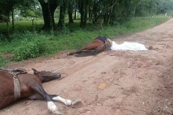 Um homem e dois cavalos são encontrados mortos em estrada na cidade de Bagé