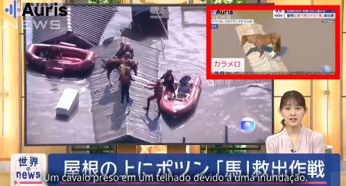 Resgate do cavalo Caramelo repercute em telejornal japonês