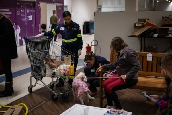 Abrigo de São Leopoldo está distribuindo ração gratuita para tutores de animais afetados pelas enchentes