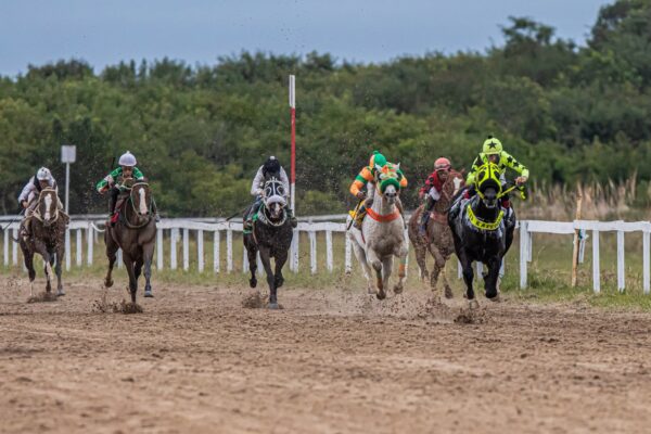 Jockey Clube abre temporada neste domingo