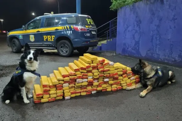 Cães encontram 200 kg de maconha em caçamba de caminhão em Osório