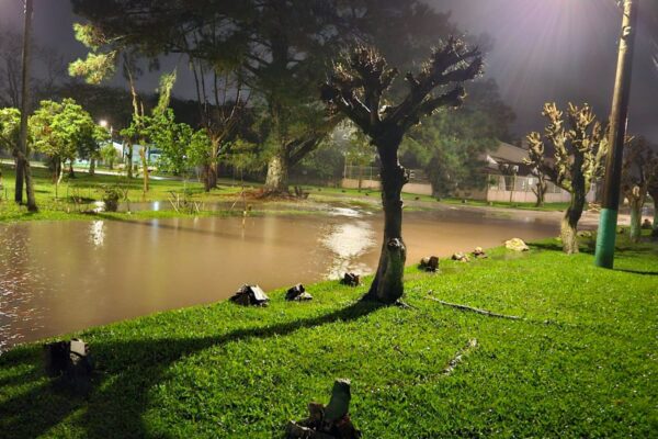 Queda de árvores e rompimento de sistema pluvial: Temporal causa transtornos em Pelotas