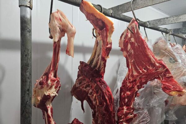 Mais de 700kg de carne imprópria para consumo é apreendida em Canguçu