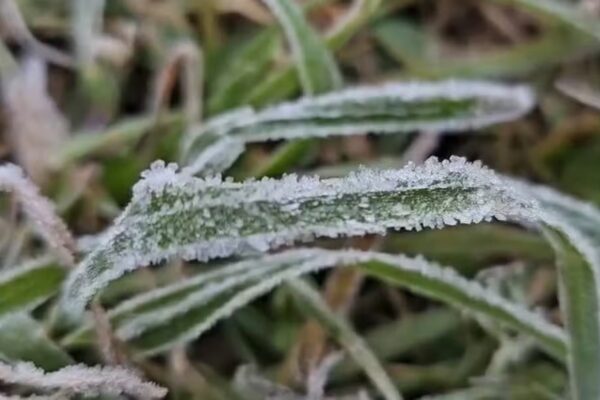 Cidades no RS registram 0ºC de temperatura na madrugada desta terça-feira