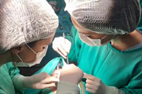 HUSFP realiza primeira cirurgia odontológica via SUS em criança com deficiência