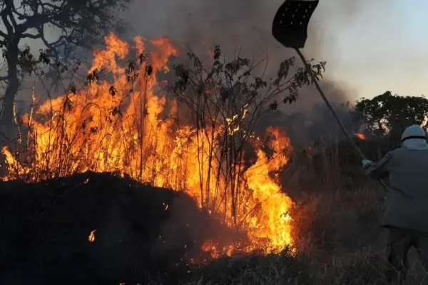 Fumaça de queimadas na Amazônia vai atingir o RS no final de semana