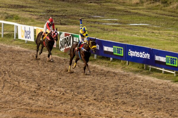 GP Princesinha celebra os 94 anos do Jockey Club de Pelotas neste domingo