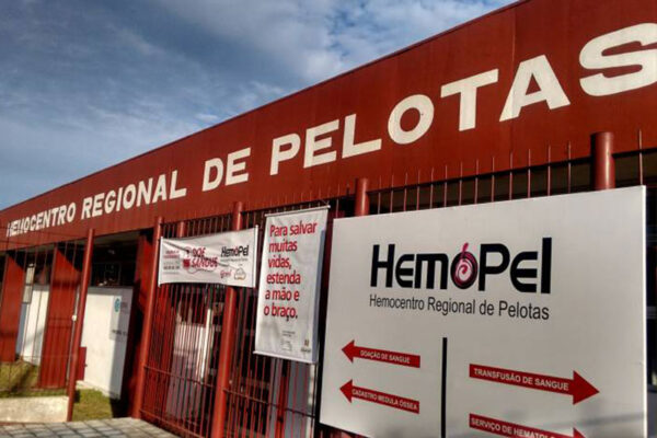 HemoPel faz apelo por doação de sangue, em especial do tipo O-