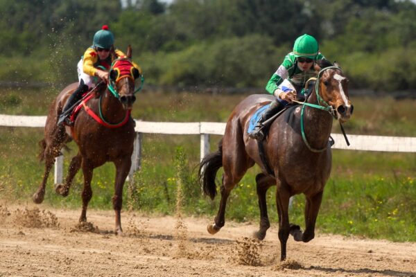 Jockey Club Pelotas promove três páreos neste domingo