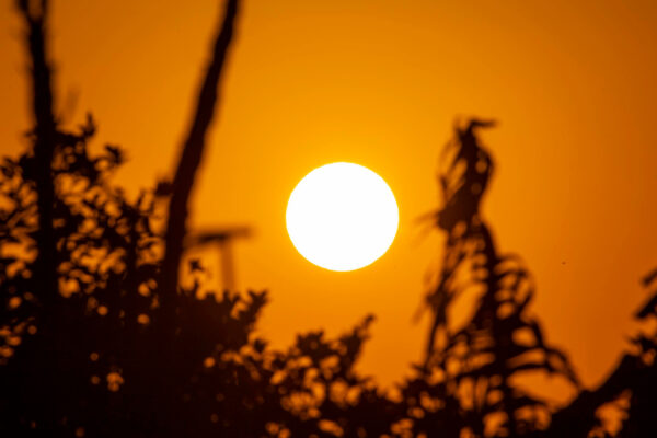 Calor extremo deve marcar início de fevereiro no RS, com máximas acima de 40°C