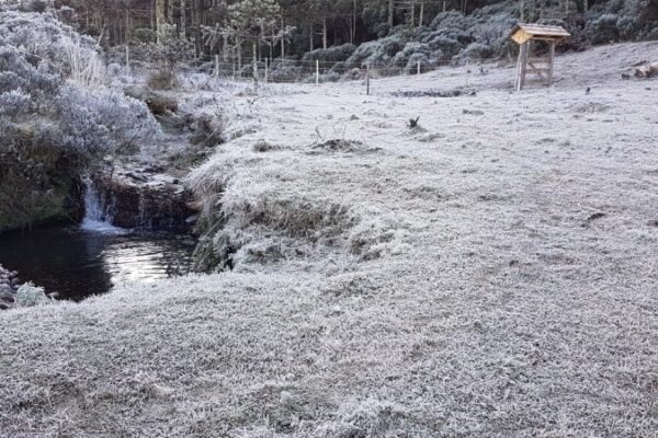 Frente fria avança no RS com risco de geada, neve e mais de 100 mm de chuva em municípios